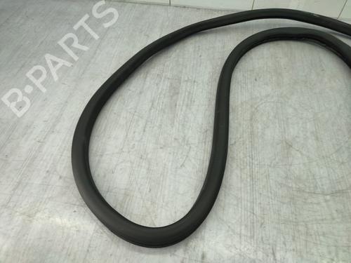 Rubber door seal VW TIGUAN (5N_) 2.0 TDI | BP24883454C142 