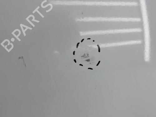 Right front door NISSAN X-TRAIL I (T30) 2.2 Di 4x4 | BP23754369C3 