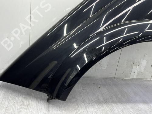 Left front fenders RENAULT MEGANE II Coupé-Cabriolet (EM0/1_) 1.9 dCi | BP30538436C41