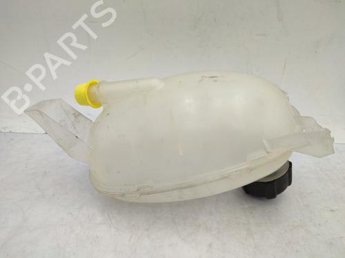 Expansion tank DACIA SANDERO II 1.5 Blue dCi 95 (B8JL) | BP29208505C120 