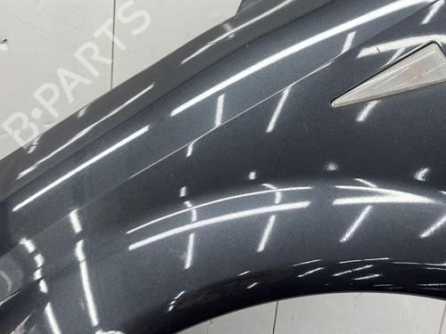 Left front fenders RENAULT SCÉNIC II (JM0/1_) 1.5 dCi (JM1E, JM16) | BP23682019C41 