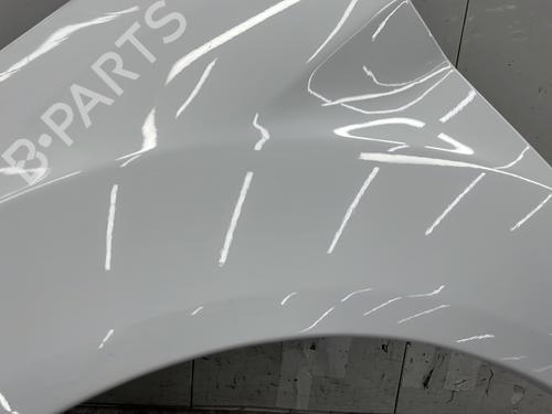 Left front fenders FORD FIESTA VI (CB1, CCN) 1.5 TDCi | BP31137692C41 