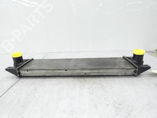 Intercooler NISSAN INTERSTAR Van (X70) dCI 90 | BP23672568M30  - Image 5