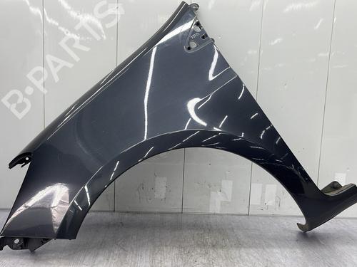 Used Left front fenders RENAULT CLIO III (BR0/1, CR0/1) 1.4 16V (98 hp) 23684287