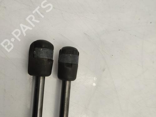 Tailgate lift support DACIA SANDERO 1.5 dCi | BP25820262C138