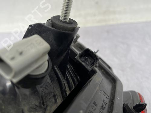 Left tailgate light RENAULT LAGUNA III (BT0/1) 2.0 dCi (BT07, BT0J, BT14, BT1A, BT1S) | BP31036001C79