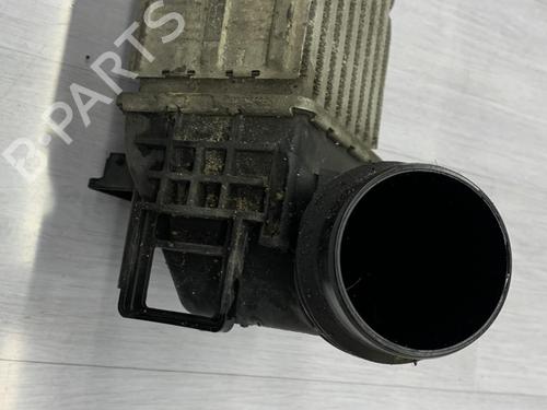 Intercooler RENAULT MEGANE III Hatchback (BZ0/1_, B3_) 1.6 dCi (BZ00, BZ12, BZ13) | BP23702388M30 