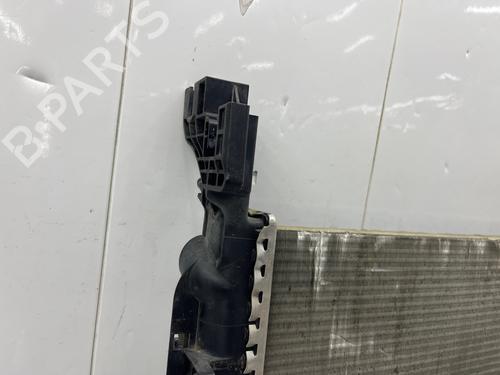 Water radiator RENAULT KANGOO Express (FW0/1_) | BP38425924M31 - Image 14