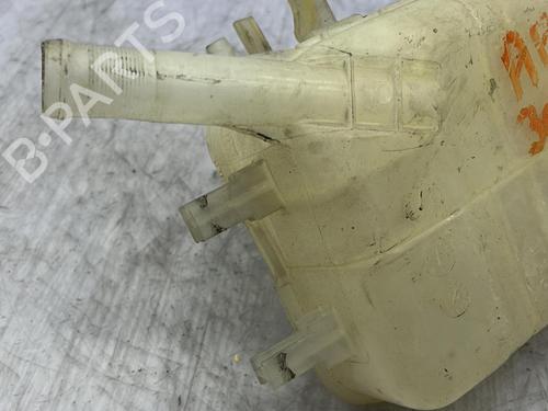 Expansion tank RENAULT SCÉNIC III (JZ0/1_) 1.9 dCi (JZ0J, JZ1J, JZ1K, JZ1S) | BP23690456C120 