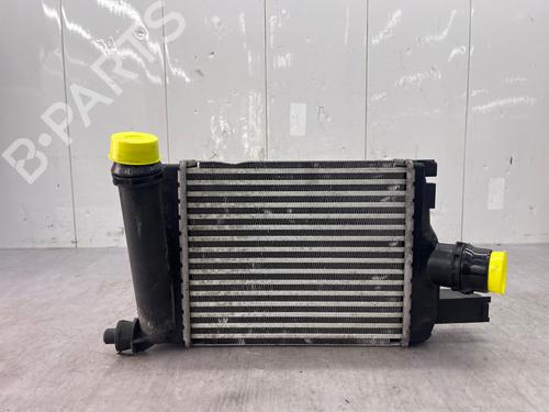 Intercooler DACIA LODGY (JS_) 1.5 dCi (JSMC, JSAF) | BP36093829M30 - Image 3