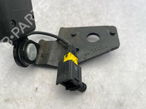 Used Seat buckle Seat buckle CITROËN C4 II (NC_) 1.6 HDi 115 (114 hp) 34173838 34173838