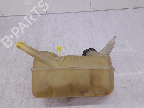 Expansion tank RENAULT MEGANE II (BM0/1_, CM0/1_) 1.9 dCi (BM0G, CM0G) | BP23711480C120 
