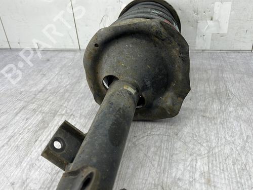 Right rear shock absorber NISSAN X-TRAIL I (T30)  | BP24950475M19 
