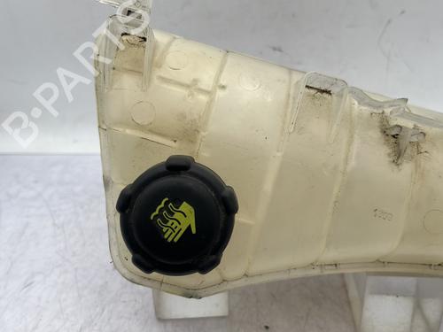 Expansion tank RENAULT KANGOO / GRAND KANGOO II (KW0/1_) 1.5 dCi 90 (KW05, KW08, KW0G, KW11) | BP29968126C120