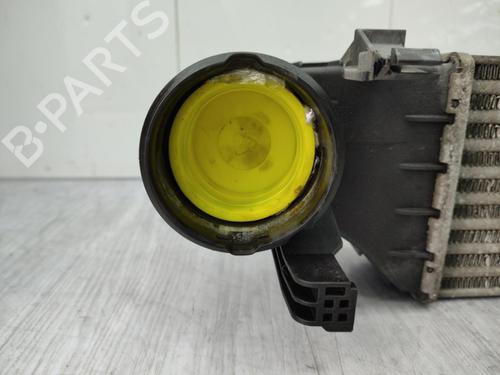 Used Intercooler Intercooler MERCEDES-BENZ CLK (C209) CLK 320 CDI (209.320) (224 hp) 23730841 23730841