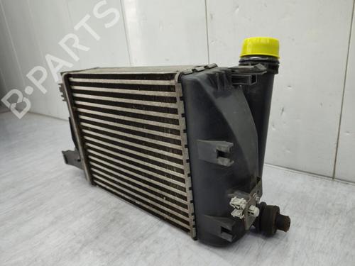 Intercooler RENAULT CAPTUR I (J5_, H5_) 1.2 TCe 120 | BP23741539M30  - Image 8
