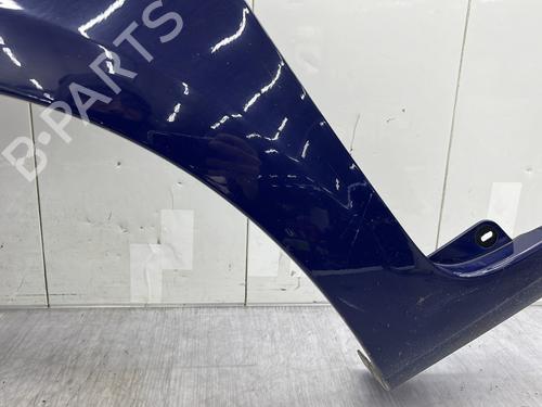 Left front fenders RENAULT CLIO III (BR0/1, CR0/1) 1.4 16V | BP23684285C41 