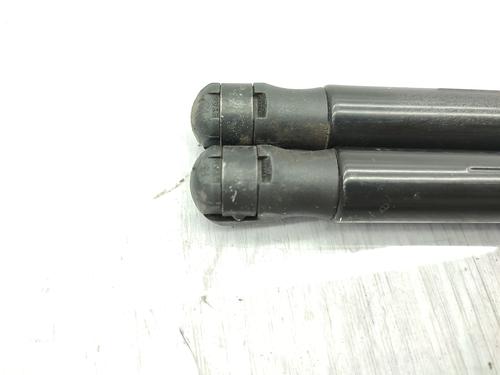 Tailgate lift support RENAULT MEGANE III Coupe (DZ0/1_) 1.4 TCe (DZ0F, DZ1V) | BP23755785C138 