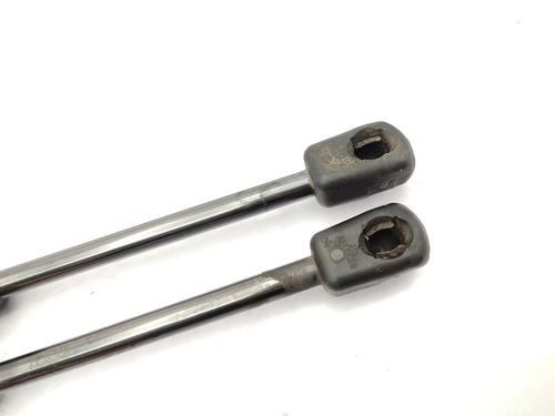 Hood lift support RENAULT SCÉNIC III (JZ0/1_) 1.2 TCe | BP23742000C139