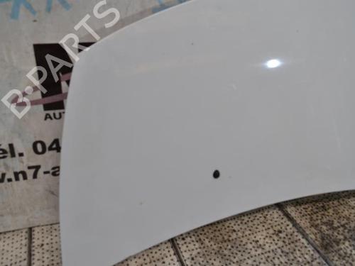 Hood RENAULT CLIO III (BR0/1, CR0/1) 1.5 dCi (C/BR0G, C/BR1G) | BP23685680C1 