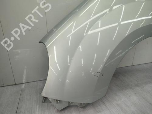 Left front fenders RENAULT KANGOO / GRAND KANGOO II (KW0/1_) 1.5 dCi 90 (KW05, KW08, KW0G, KW11) | BP23721199C41 