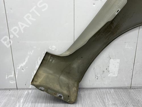 Left front fenders FORD FIESTA V (JH_, JD_) 1.3 | BP28325691C41 
