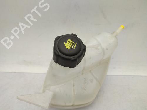 Expansion tank NISSAN QASHQAI II (J11, J11_) 1.6 DIG-T | BP29066096C120 