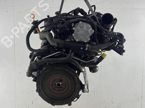 Motor AUDI A3 (8P1) 1.9 TDI (105 hp) 23682077