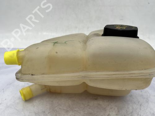 Expansion tank FORD C-MAX II (DXA/CB7, DXA/CEU) 1.0 EcoBoost | BP29865944C120