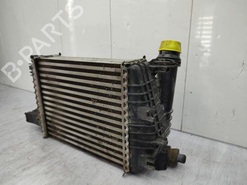 Intercooler DACIA DUSTER (HS_) 1.2 TCe 125 | BP23723125M30 - Image 7