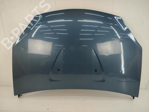 Hood DACIA SANDERO 1.5 dCi | BP23704198C1 