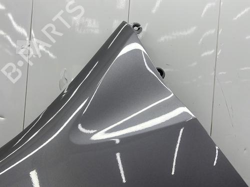 Left front fenders RENAULT MODUS / GRAND MODUS (F/JP0_) 1.5 dCi 75 | BP31137683C41