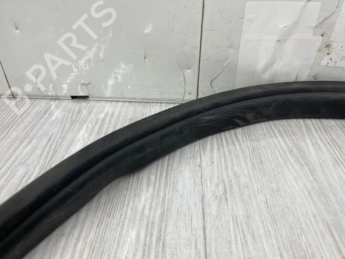 Gummiliste TESLA MODEL 3 (5YJ3) EV Perfomance AWD | BP37868104C142 - Image 6