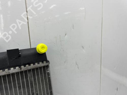 Used Water radiator Water radiator CITROËN DS3 (SA_) 1.6 THP 155 (156 hp) 35890167 35890167