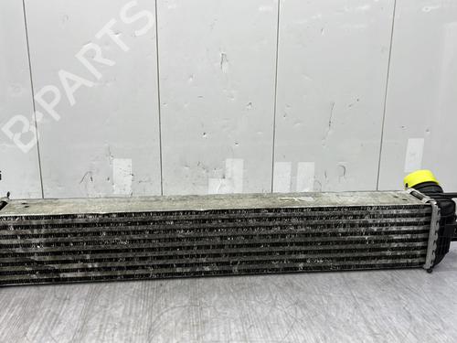 Used Intercooler Intercooler RENAULT LAGUNA III (BT0/1) 1.5 dCi (BT00, BT0A, BT0T, BT1J) (110 hp) 24055439 24055439