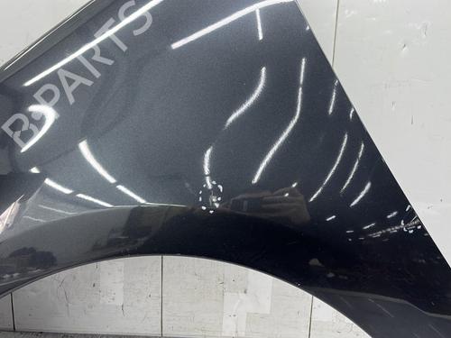 Left front fenders RENAULT SCÉNIC III (JZ0/1_) 1.9 dCi (JZ0J, JZ1J, JZ1K, JZ1S) | BP25279688C41 