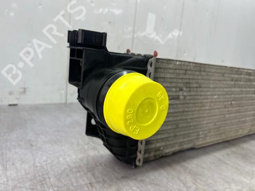 Intercooler OPEL MOVANO B Van (X62) 2.3 CDTI FWD (FV) | BP37189530M30 - Image 4