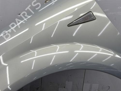 Left front fenders RENAULT SCÉNIC II (JM0/1_) 1.9 dCi (JM0G, JM12, JM1G, JM2C) | BP25997690C41 