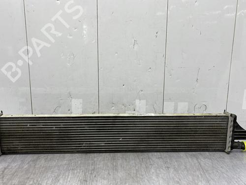 Water radiator RENAULT MASTER III Van (FV) 2.3 dCi 135 FWD (FV0N, FV08, FV06, FV00, FV1S) | BP25892274M31 - Image 5