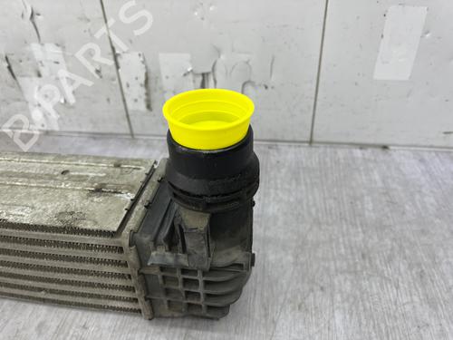 Used Intercooler Intercooler RENAULT MEGANE III Hatchback (BZ0/1_, B3_) 1.5 dCi (BZ09, BZ0D, BZ1W, BZ29, BZ14) (110 hp) 34107613 34107613