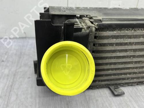 Intercooler BMW 1 (F21) 118 d | BP23680060M30  - Image 7