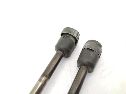 Tailgate lift support FORD FIESTA V (JH_, JD_) 1.4 TDCi | BP23731090C138 
