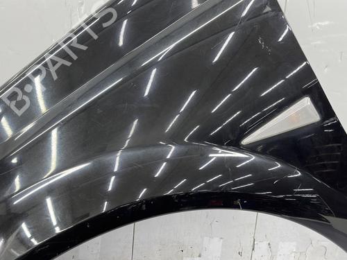 Left front fenders RENAULT MEGANE II Coupé-Cabriolet (EM0/1_) 1.9 dCi | BP30698531C41 