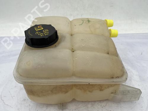 Used Expansion tank FORD C-MAX II (DXA/CB7, DXA/CEU) 1.0 EcoBoost (125 hp) 29865944