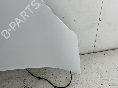 Hood RENAULT KANGOO Express (FW0/1_) 1.5 dCi 90 (FW0G, FW05, FW08, FW11) | BP28209530C1