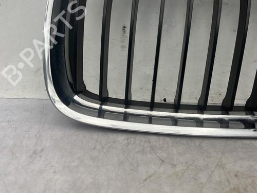 Grille BMW 3 (E90) 320 d | BP31016898C40