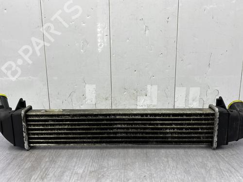 Intercooler DACIA LOGAN MCV (KS_) 1.5 dCi (KS0W) | BP26508254M30  - Image 8