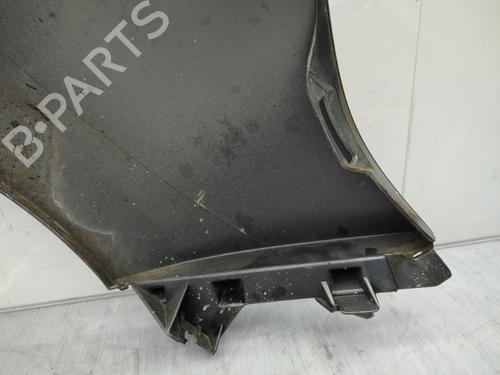 Left front fenders RENAULT SCÉNIC III (JZ0/1_) 1.9 dCi (JZ0J, JZ1J, JZ1K, JZ1S) | BP23706883C41 