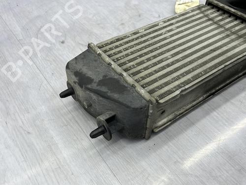 Ladeluftkühler für CITROËN C3 I (FC_, FN_) 1.4 16V HDi (90 hp) 23691737