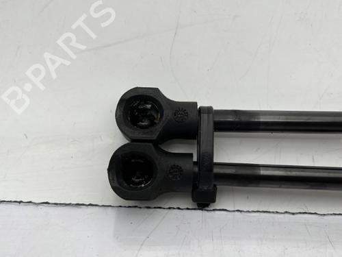 Tailgate lift support RENAULT CLIO IV (BH_) 0.9 TCe 90 (BHNF, BHMA, BHMH, BHJK, BHJR) | BP23758831C138 